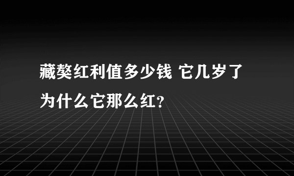藏獒红利值多少钱 它几岁了 为什么它那么红？