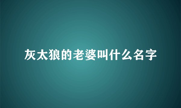 灰太狼的老婆叫什么名字