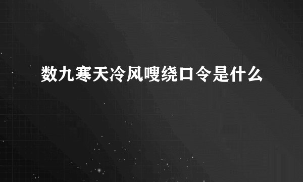 数九寒天冷风嗖绕口令是什么