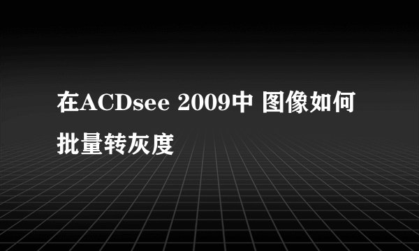在ACDsee 2009中 图像如何批量转灰度
