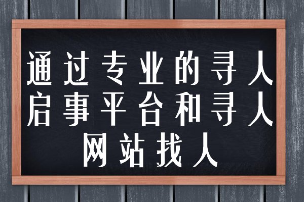 怎么在网上找人