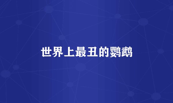 世界上最丑的鹦鹉