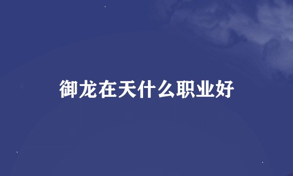 御龙在天什么职业好
