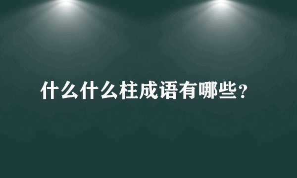 什么什么柱成语有哪些？