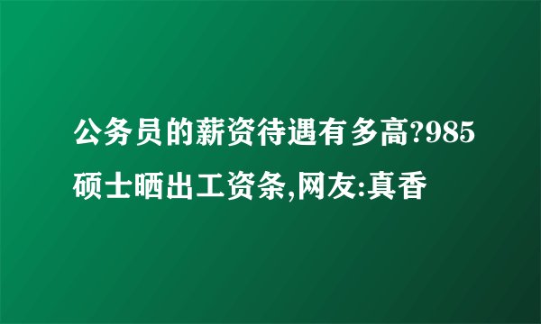 公务员的薪资待遇有多高?985硕士晒出工资条,网友:真香