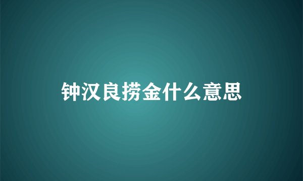 钟汉良捞金什么意思