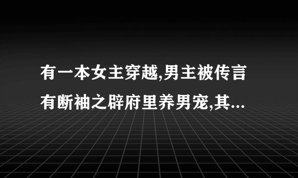 有一本女主穿越,男主被传言有断袖之辟府里养男宠,其中有一人叫千让