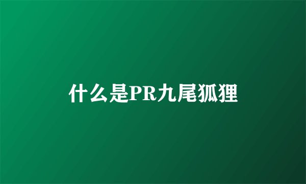 什么是PR九尾狐狸