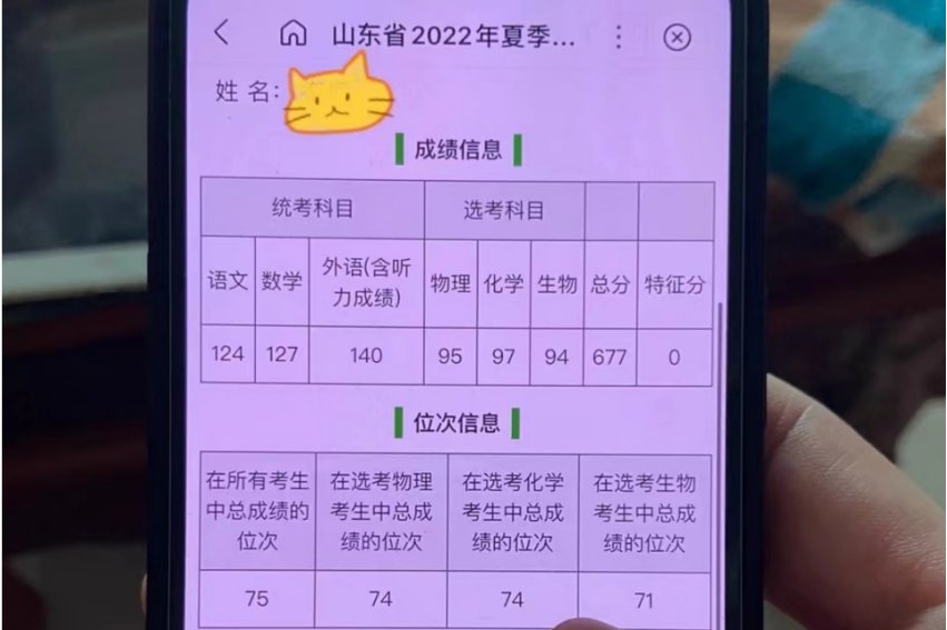 2017年山东高考人数