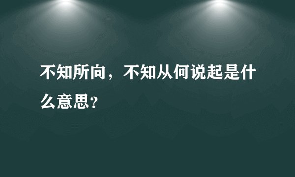 不知所向，不知从何说起是什么意思？