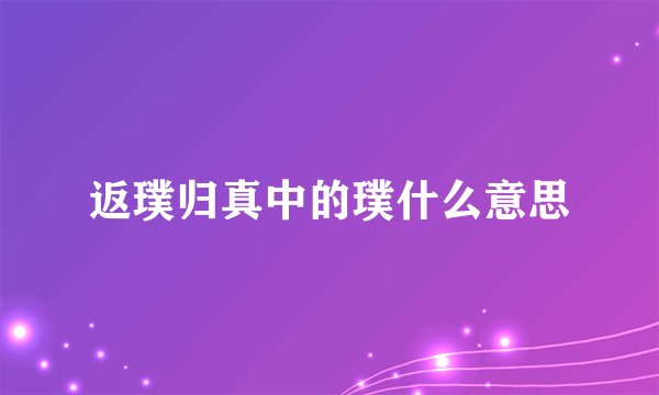 返璞归真中的璞什么意思