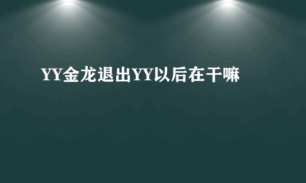 YY金龙退出YY以后在干嘛