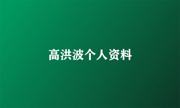 高洪波个人资料