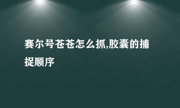赛尔号苍苍怎么抓,胶囊的捕捉顺序
