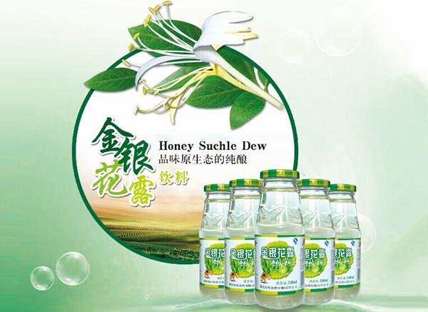 金银花露原文水泄不通