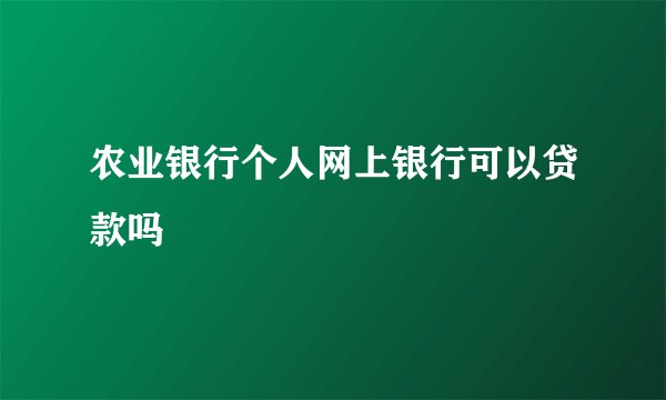 农业银行个人网上银行可以贷款吗