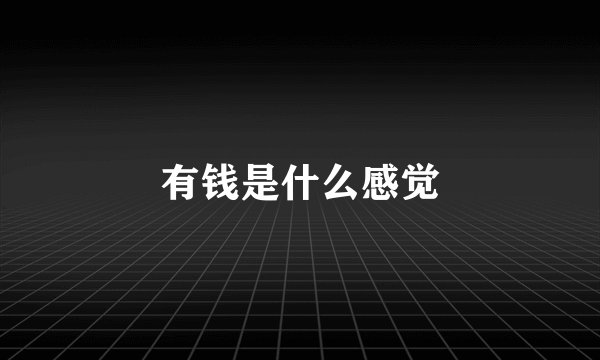 有钱是什么感觉