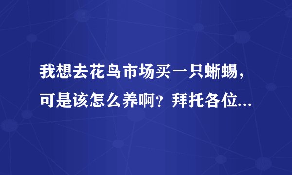 我想去花鸟市场买一只蜥蜴，可是该怎么养啊？拜托各位了 3Q