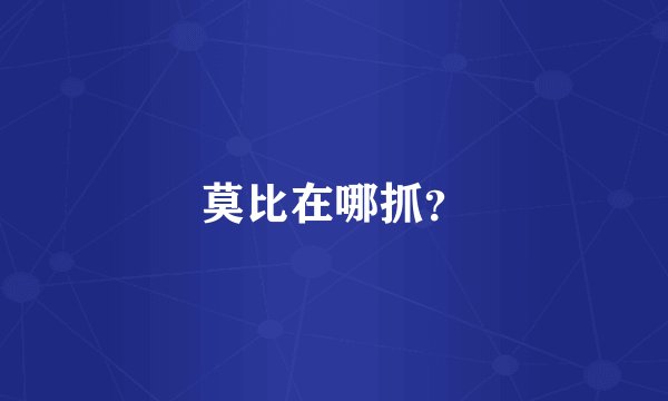 莫比在哪抓？