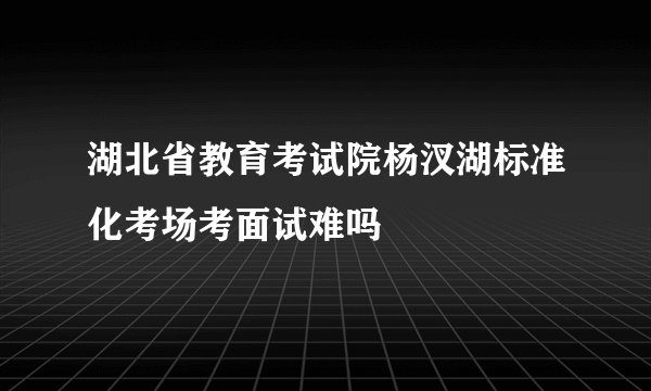 湖北省教育考试院杨汊湖标准化考场考面试难吗