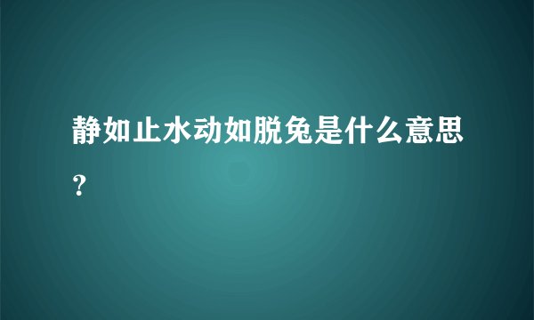 静如止水动如脱兔是什么意思？