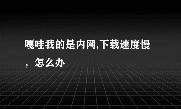 嘎哇我的是内网,下载速度慢，怎么办