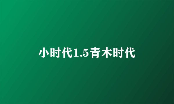 小时代1.5青木时代