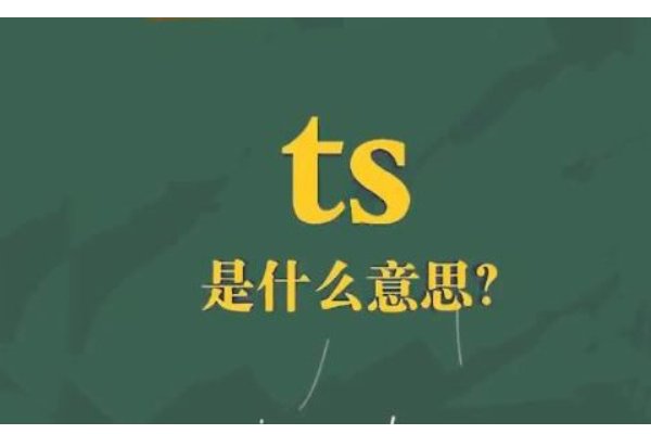 ts是啥意思啊