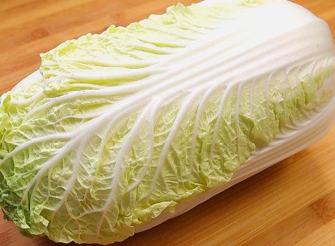 哪种食物蚂蚁庄园今日答案