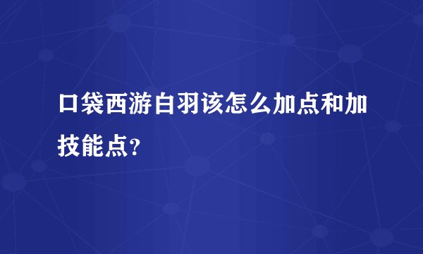 口袋西游白羽该怎么加点和加技能点？