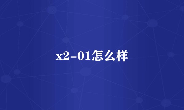 x2-01怎么样