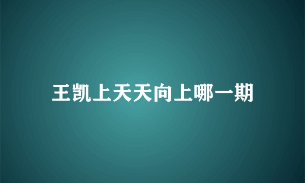 王凯上天天向上哪一期