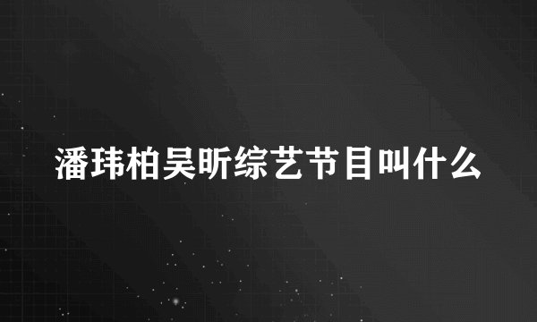 潘玮柏吴昕综艺节目叫什么