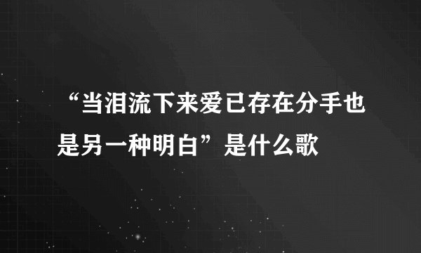 “当泪流下来爱已存在分手也是另一种明白”是什么歌