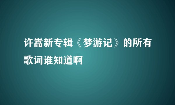 许嵩新专辑《梦游记》的所有歌词谁知道啊