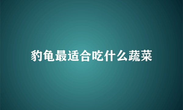 豹龟最适合吃什么蔬菜