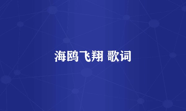 海鸥飞翔 歌词