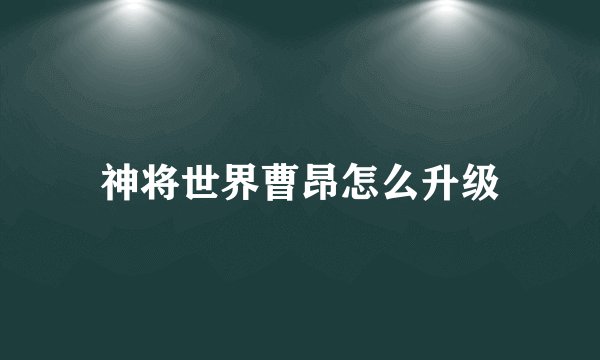 神将世界曹昂怎么升级