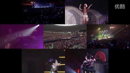 WILD 7的简介