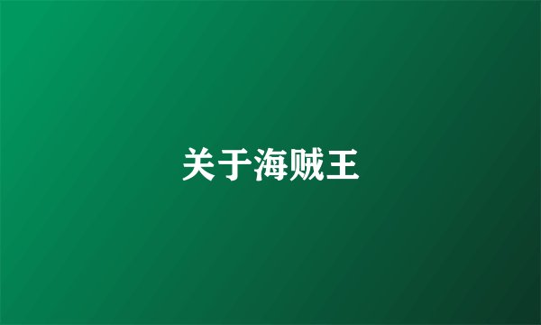 关于海贼王