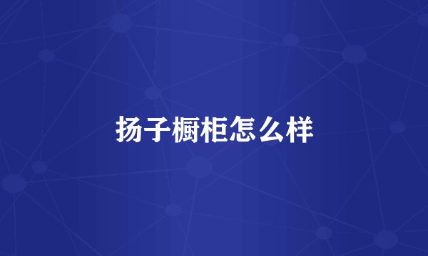 扬子橱柜怎么样