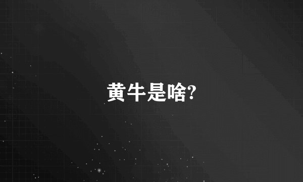 黄牛是啥?
