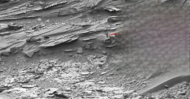 七个外星人真正照片 外星人是什么样子的照片