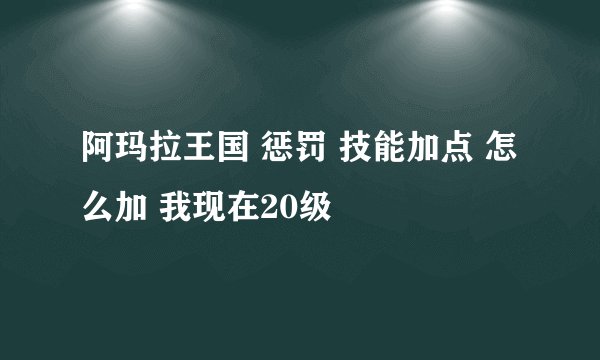 阿玛拉王国 惩罚 技能加点 怎么加 我现在20级