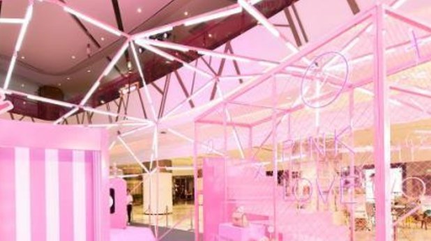 pink是什么意思？