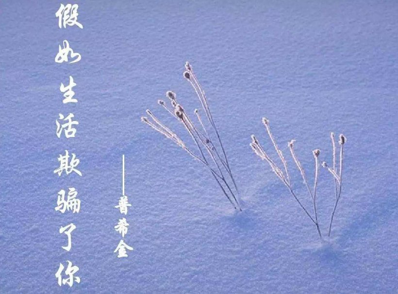 假如生活欺骗了你，下面几句是什么