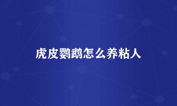 虎皮鹦鹉怎么养粘人
