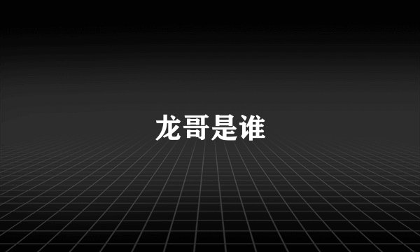 龙哥是谁