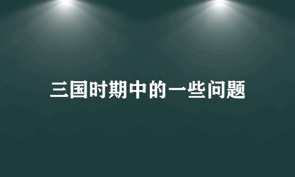 三国时期中的一些问题