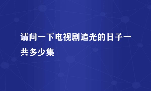 请问一下电视剧追光的日子一共多少集